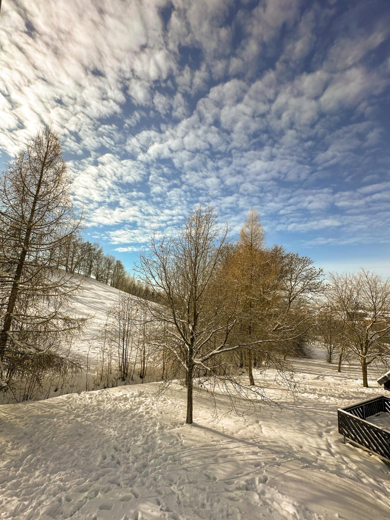 Ctyricitka Na Stastnem Kopci Villa Cerny Dul Exterior photo